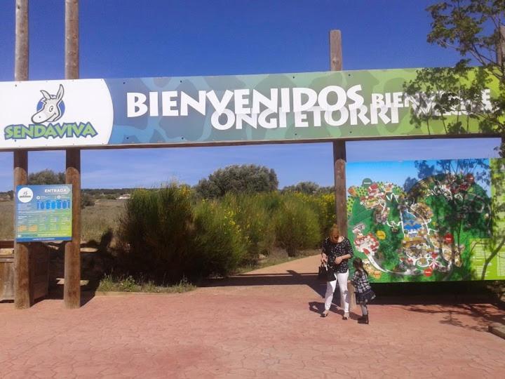 Atico Entero Con Habitacion En Corella Esterno foto